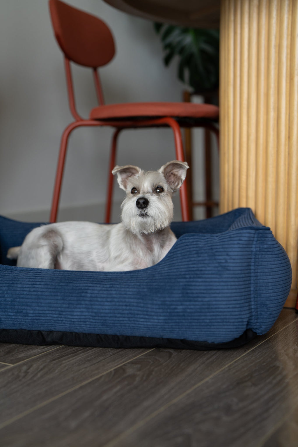 Chester & Lee | Fancy Corduroy Sleeper Dog Bed