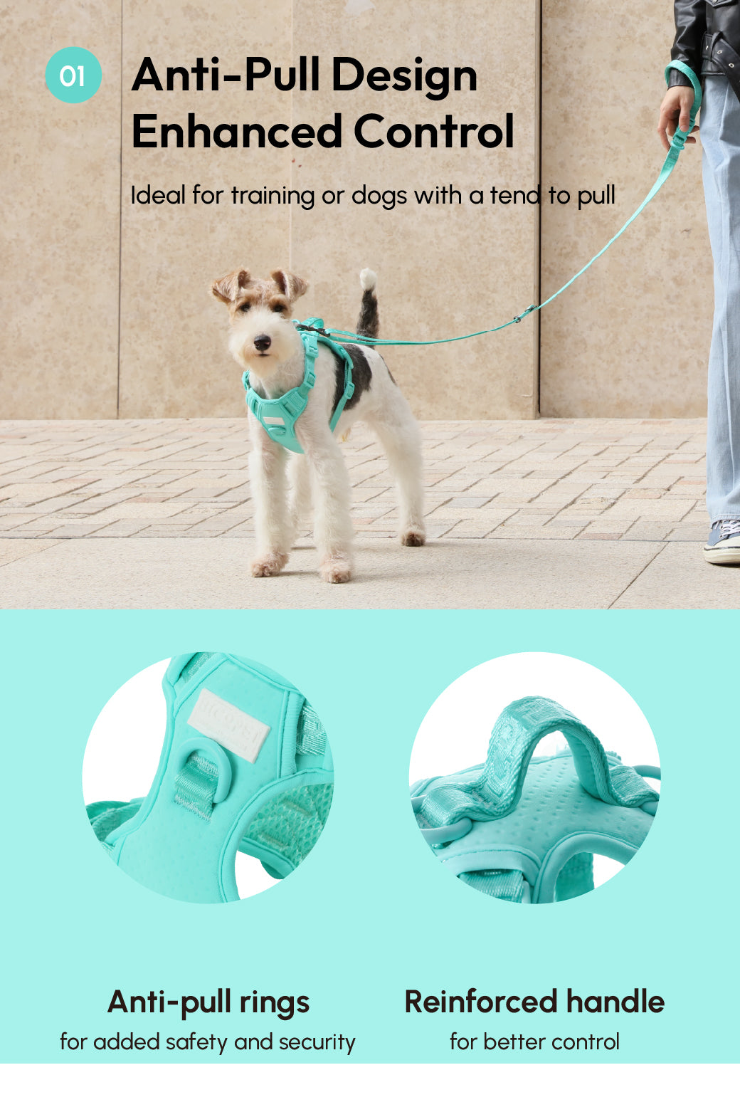 NO PULL ACTIVE  PET HARNESS - MINT GREEN