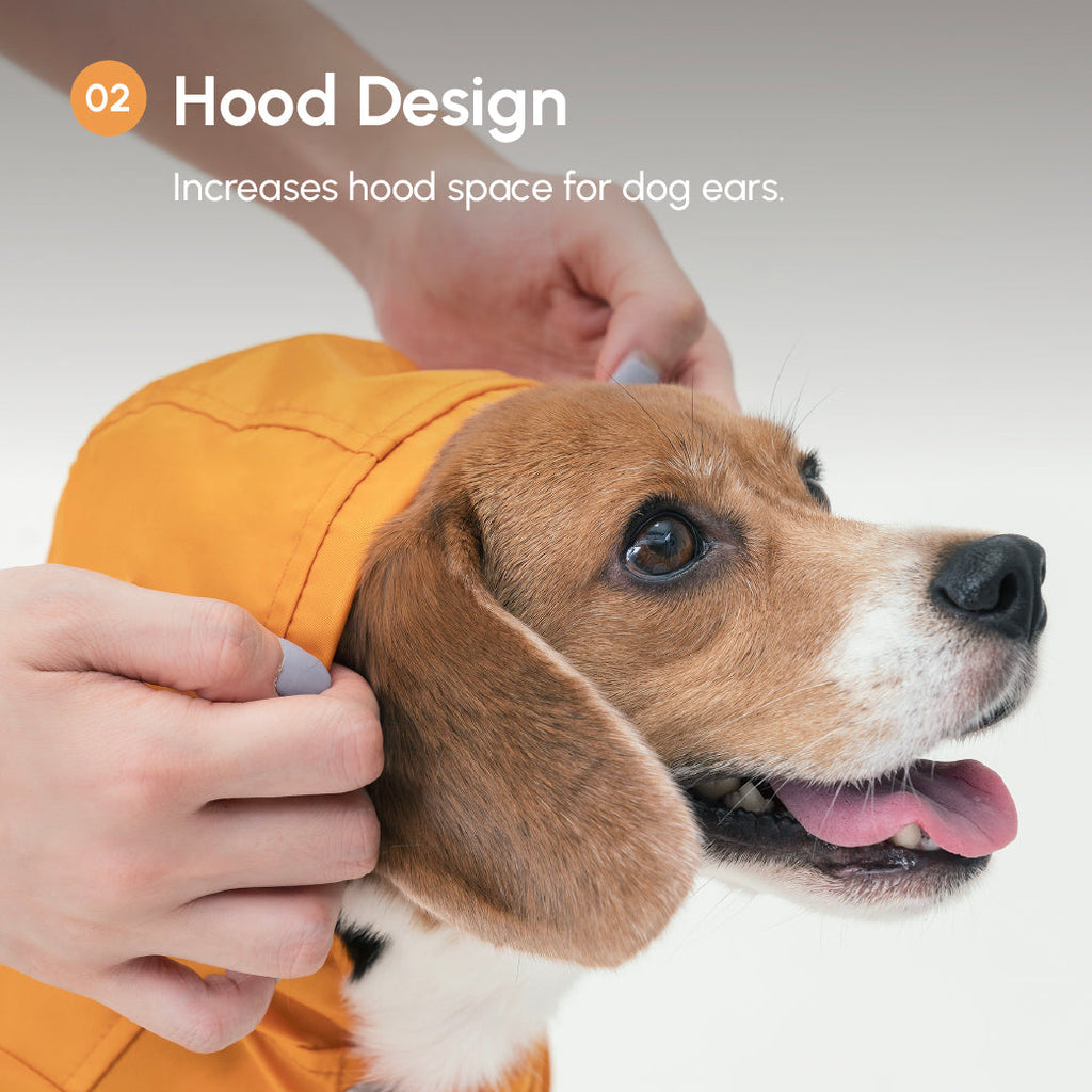 BOWERY RAINCOAT - BEIGE