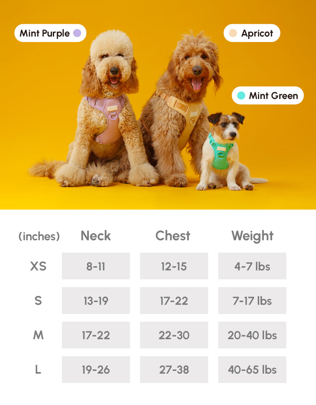 NO PULL ACTIVE  PET HARNESS - MINT GREEN