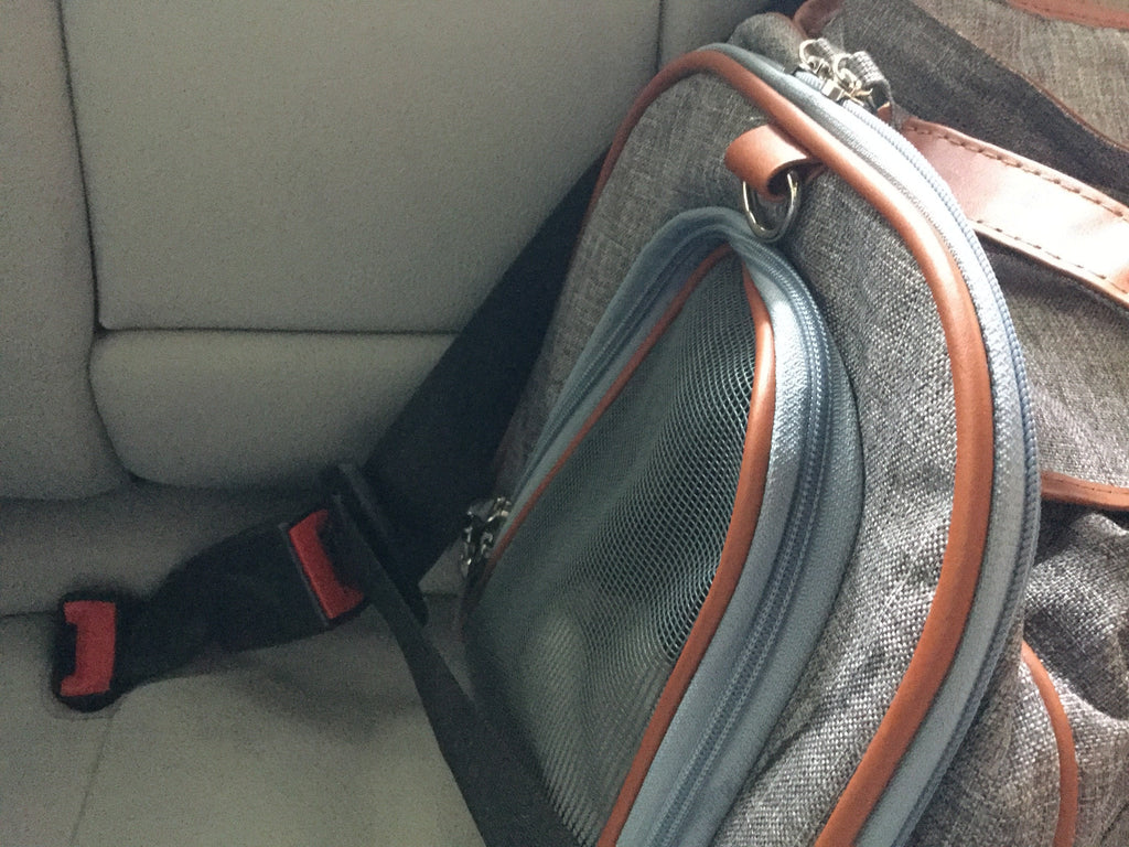 Mr. Peanut's Gold Series Standard Size Airline Compliant Pet Carrier