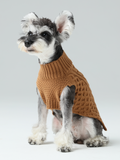 Pet Sweater Vest - Toffee Orange